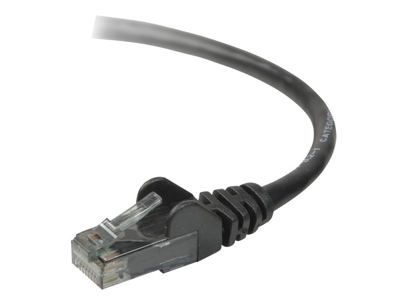 Câble Ethernet RJ45 1 mètre Belkin