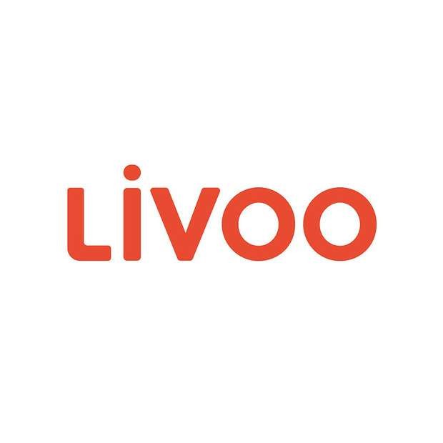 Livoo - Appareil à raclette 2 personnes VERT plateau en granite pieds  antidérapants - Raclette, crêpière - Rue du Commerce
